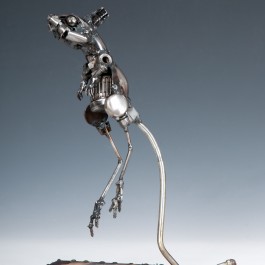 Spinifex Hopping Mouse